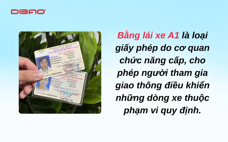 bằng lái xe a1 là gì